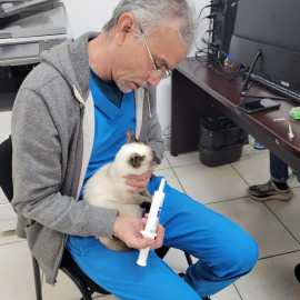 Refuerza dirección de Bienestar Animal atención a perros y gatos en situación de calle 