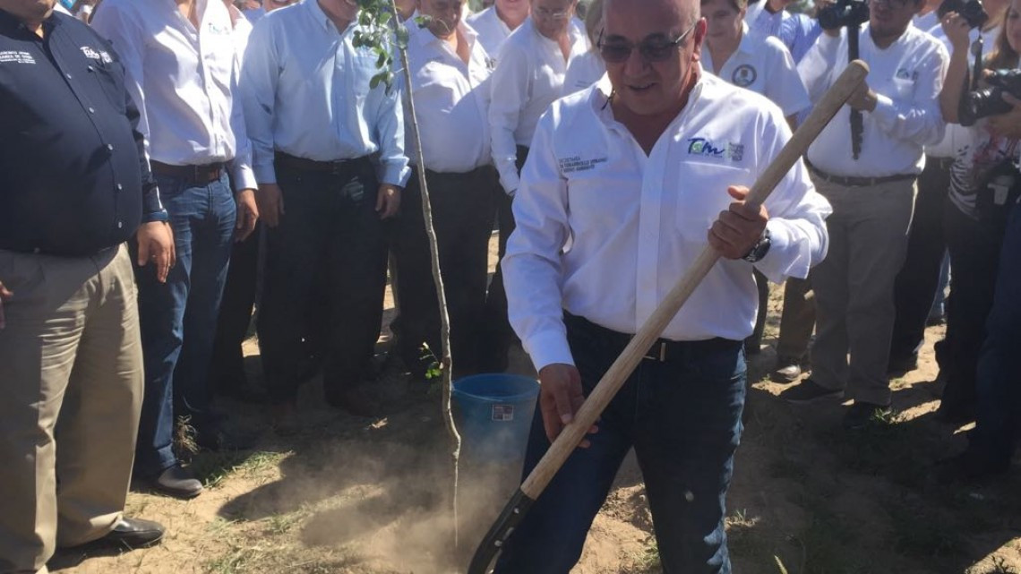 Crean jardín polinizador, ayudará a mariposas monarca