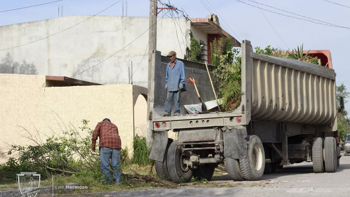 Levantan ramas que obstruían el paso