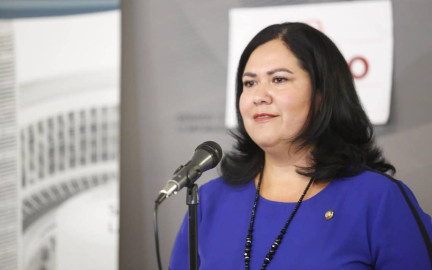 Morena expulsa a la senadora Alejandra León Gastélum 
