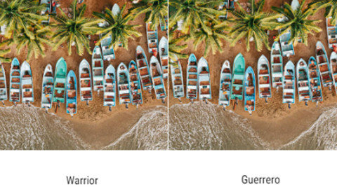 VisitMéxico vuelve al huracán, ahora promociona al estado de Guerrero como “Warrior”