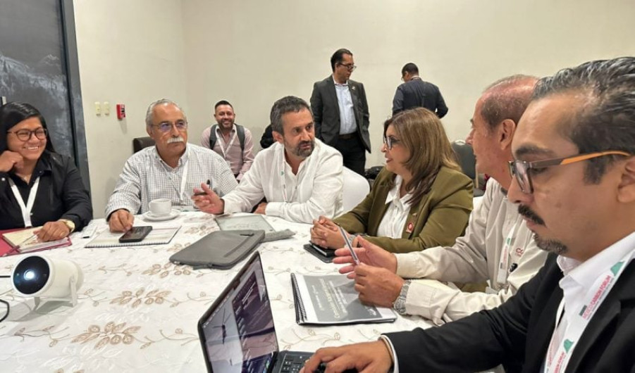 Busca alianza estratégica certificar producción de carbón vegetal y reducir emisiones