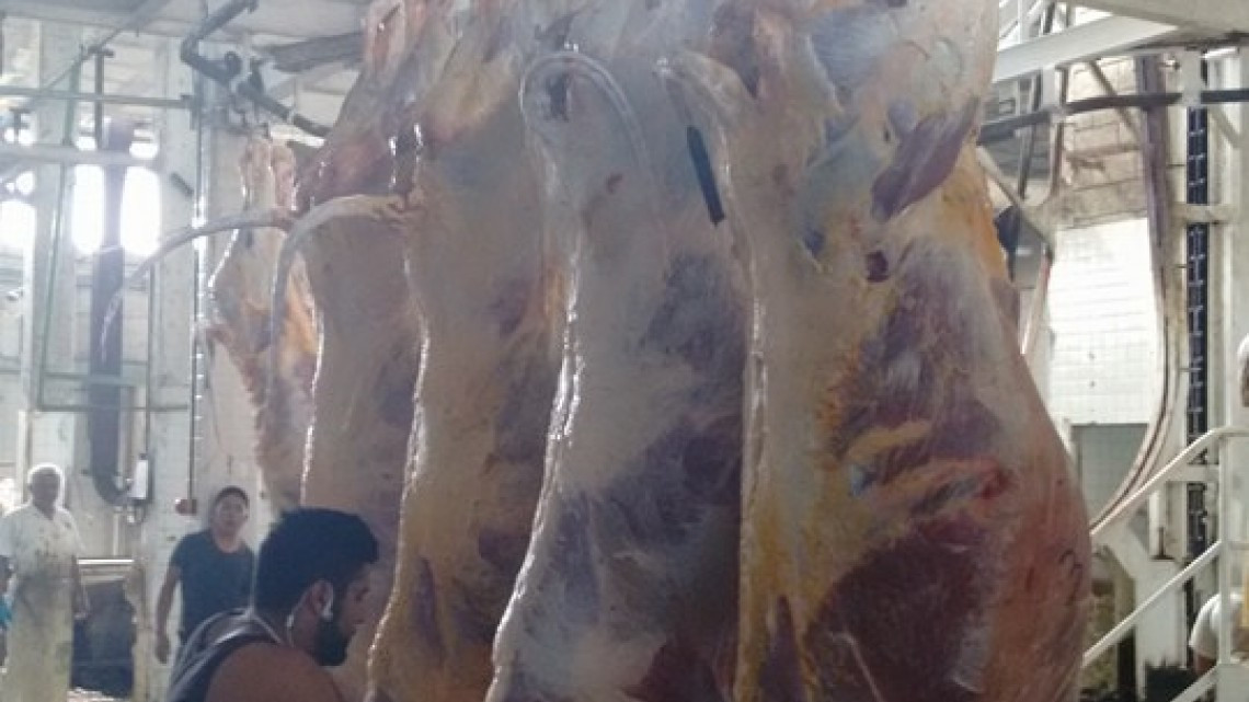 Urge en la zona un rastro con certificación TIF