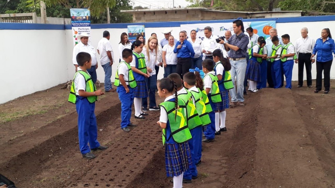 Se aplica programa "Huertos saludables" para enseñar a los alumnos sembrar hortalizas.
