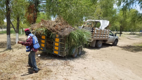 Limpian cuadrillas municipales casi 1 un millón de metros cuadrados de parques y jardines