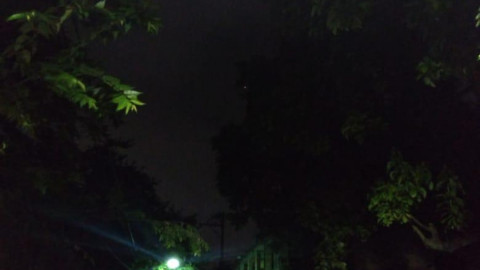 Norte tumba árboles, anuncios luminosos y deja sin luz a colonias de Tampico 