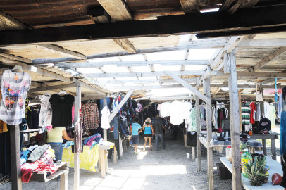 Tres años de retraso en reubicación de pulga