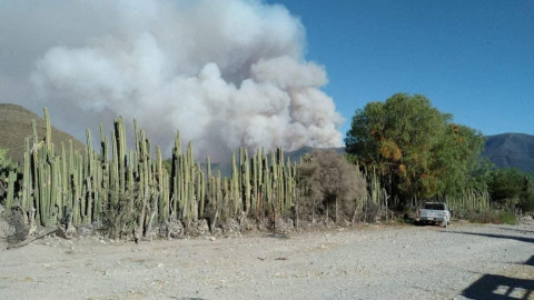 Reactiva CONAFOR y PC combate a incendio en Miquihuana 