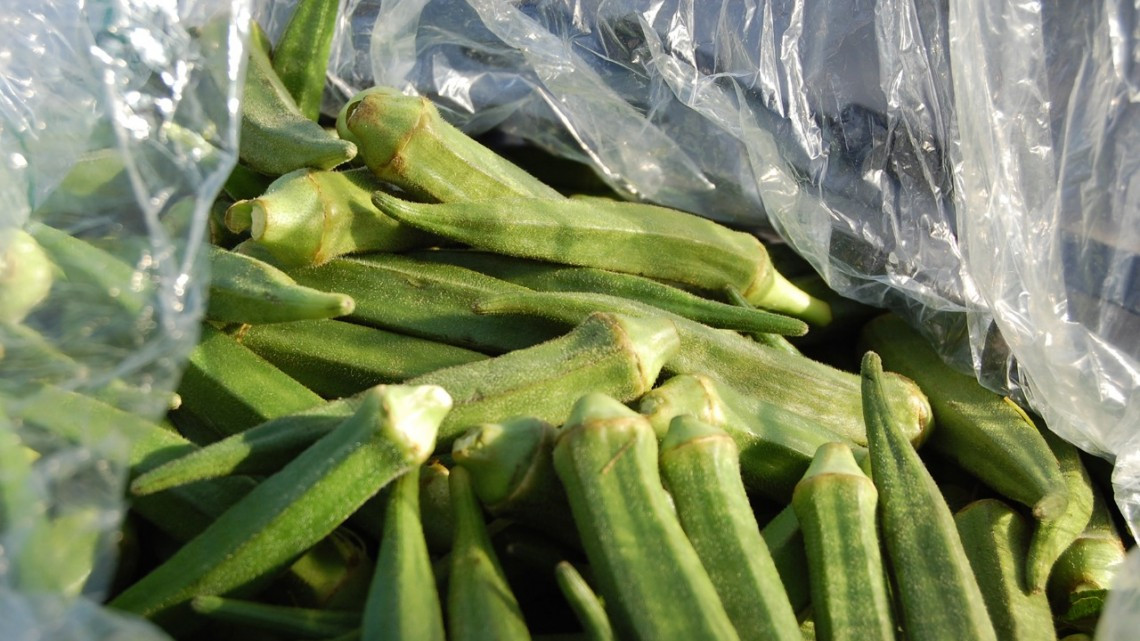 DIF Río Bravo beneficia a más de 800 familias con entrega de Okra