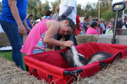 Vive en Nuevo Laredo una fiesta de arte y cultura con la inauguración del espacio cultural y artístico del parque Viveros