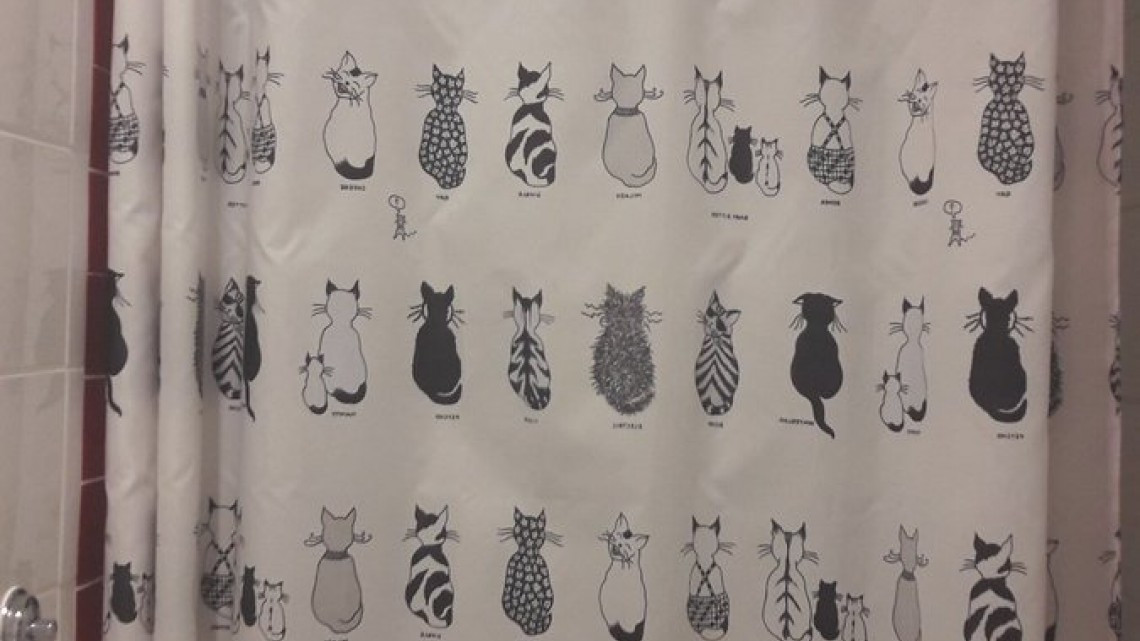 Las doce cortinas de baño que causan alegría en Twitter