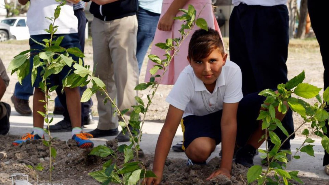 Inicia reforestación de áreas verdes en Valle Hermoso 