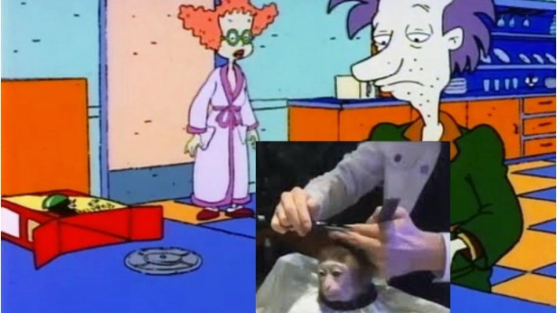 El meme del corte de pelo a un mono que encaja en todo