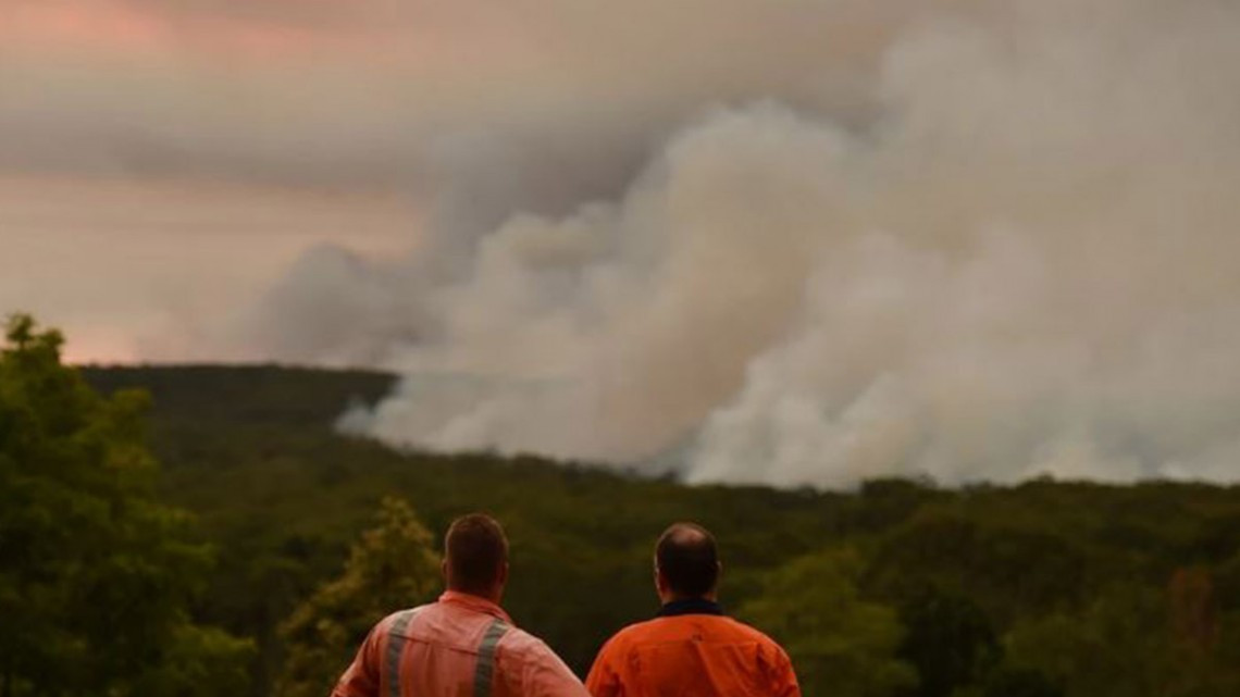 Al menos un 1.000 millón de animales muertos por incendios en Australia