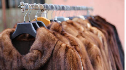Israel prohíbe el comercio de pieles para la moda