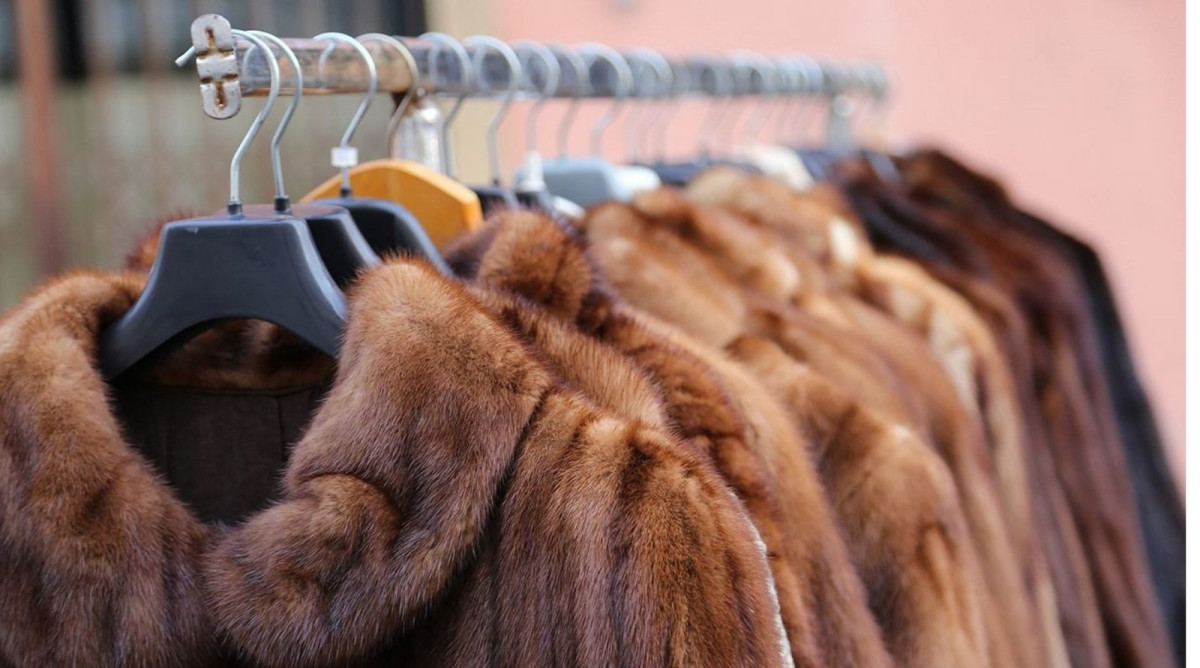 Israel prohíbe el comercio de pieles para la moda