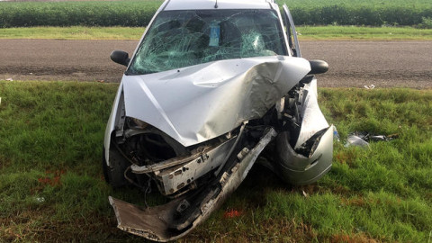 Fallece automovilista al chocar contra una palmera