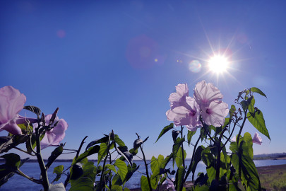 Conoce el pronóstico del tiempo para este martes en Tamaulipas 