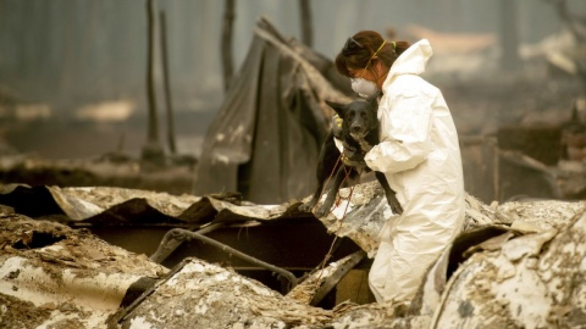 Van 56 muertos por siniestros incendios