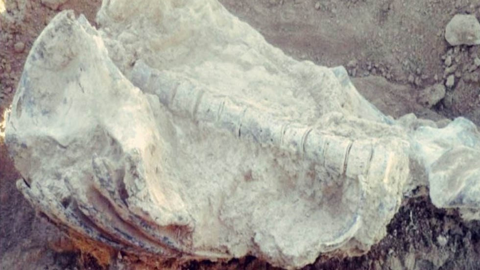 Encuentran piezas arqueológicas en Bolivia