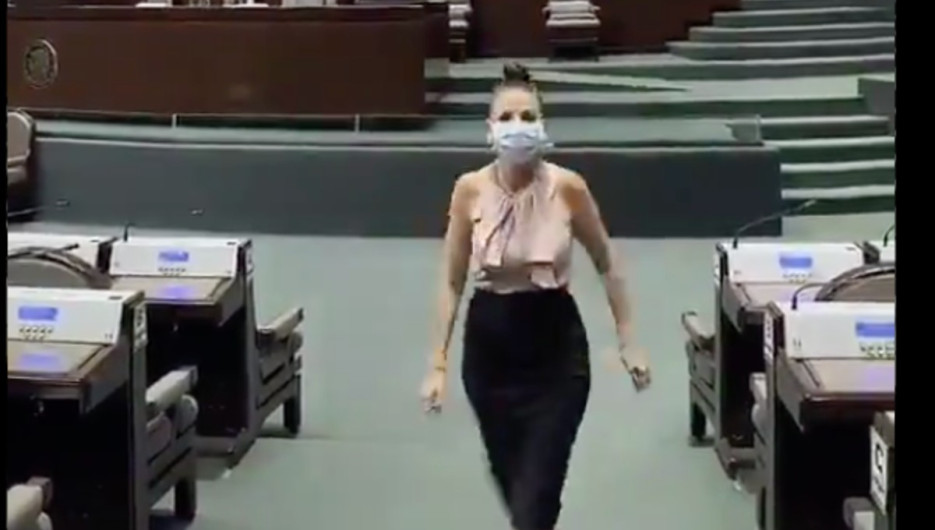 Nay Salvatori graba TikTok en la Cámara de Diputados y la acusan de apología de la violencia