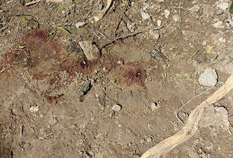 PGJE identifica al homicida de la niña de 11