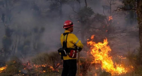 Crece un incendio forestal en California en medio de temperaturas extremas