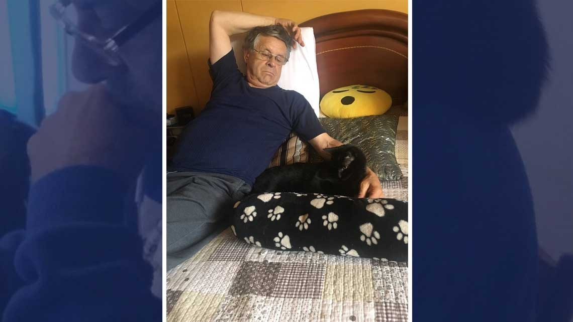 ¡No quiero animales!, días después...