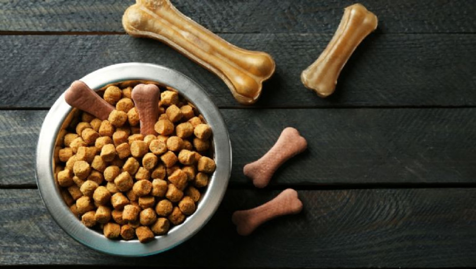 Estas son las mejores croquetas para perro y las más económicas según Profeco