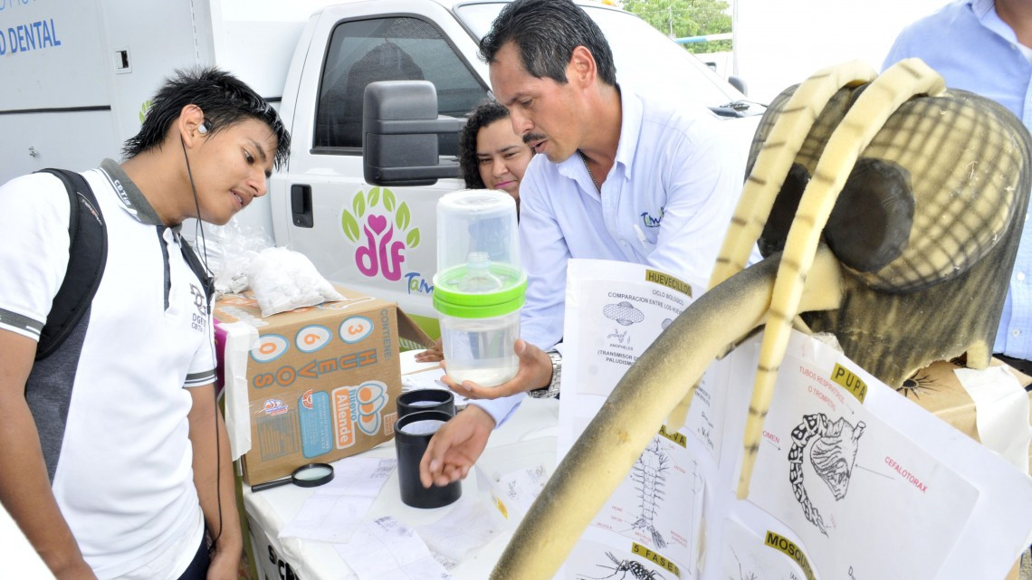 Estado intensifica prevención contra dengue, zika y chikungunya 