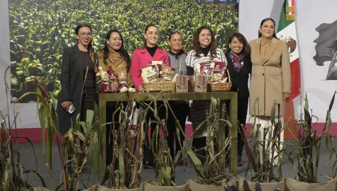 Presentan Plan Nacional Maíz Nativo; arrancará en 7 estados