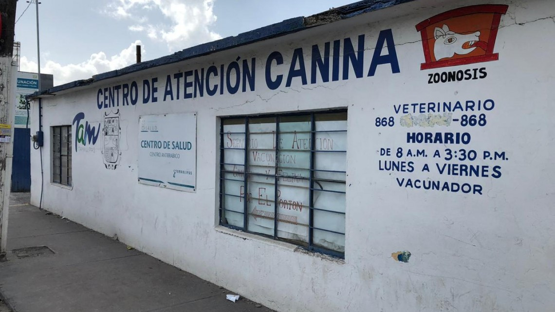 Aumenta hasta en un 60% plagas de garrapatas