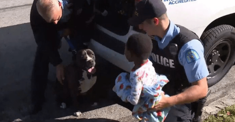 Perrito protege a niño que se había perdido