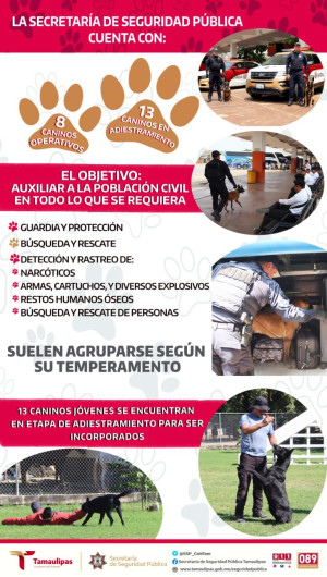 Perros policías apoyan a Guardia Estatal