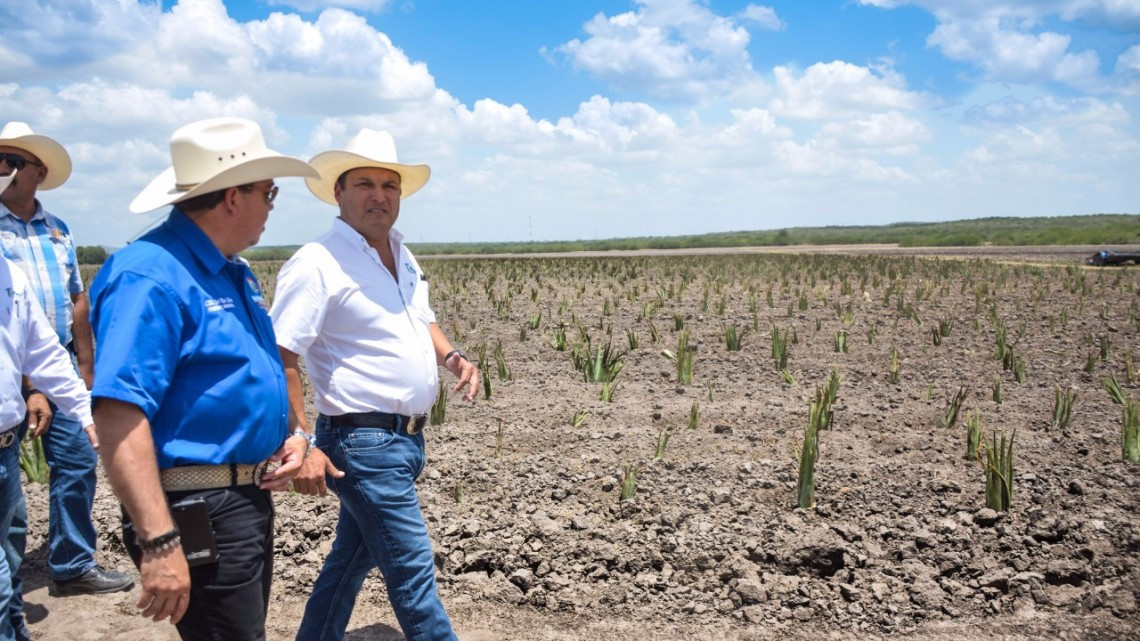 Incrementarán sus ingresos productores agrícolas