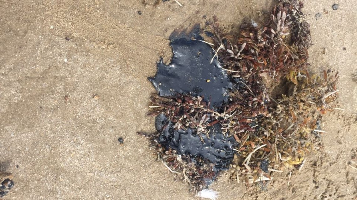 Investiga Coepris derrame de chapopote en la playa Bagdad 