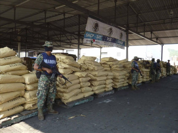  Nunca he visto una colaboración mejor de México: Walsh