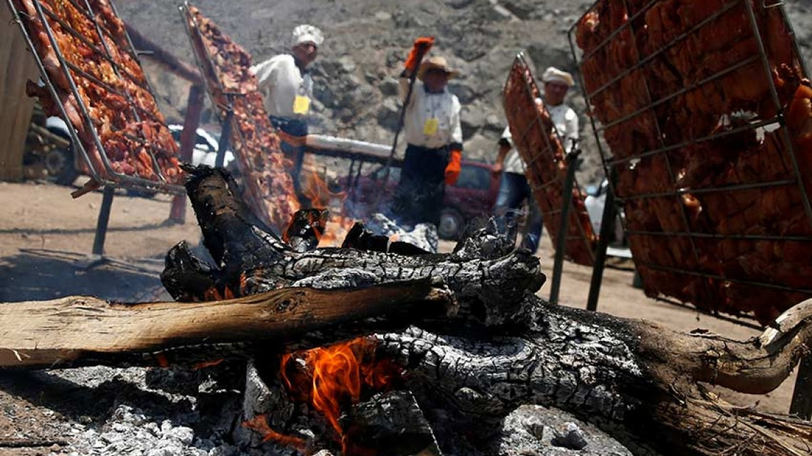 Festival de comida con roedores