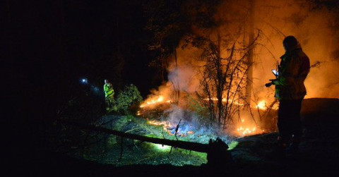 Bomberos y voluntarios combaten más de 50 incendios forestales en Suecia