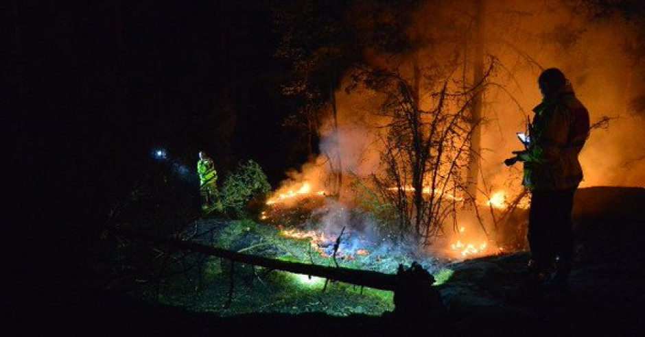 Bomberos y voluntarios combaten más de 50 incendios forestales en Suecia