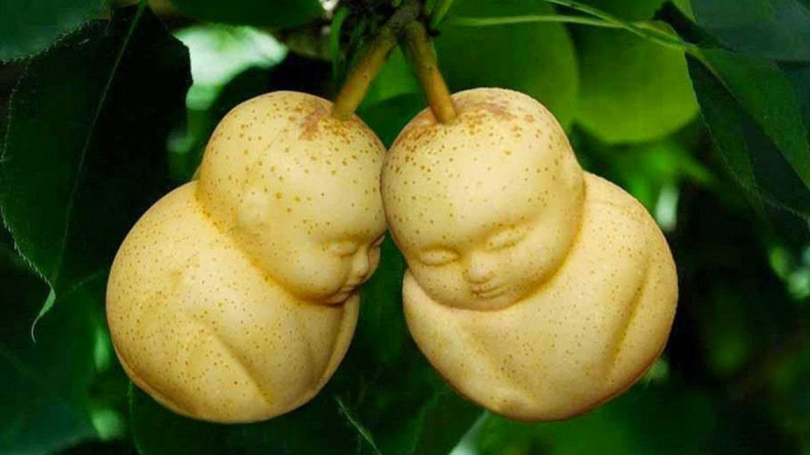 Las frutas con forma alcanzaron un nuevo nivel 