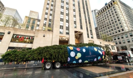 Llega a Nueva York el icónico árbol navideño del Rockefeller Center