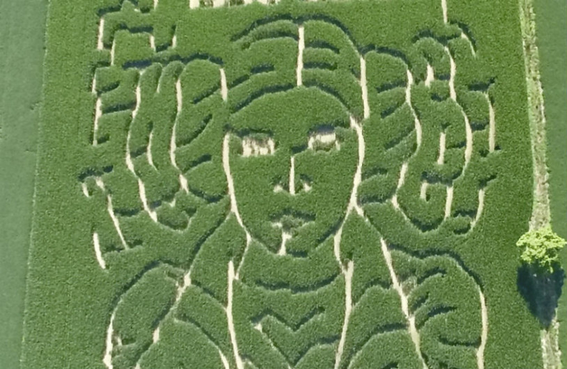 Granjero crea laberinto en honor a la princesa Leia