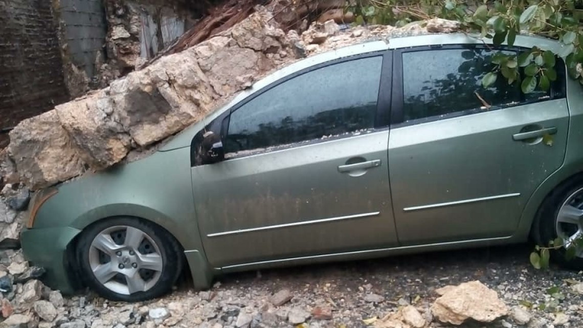 Fuerte lluvia deja 14 árboles caídos en Victoria