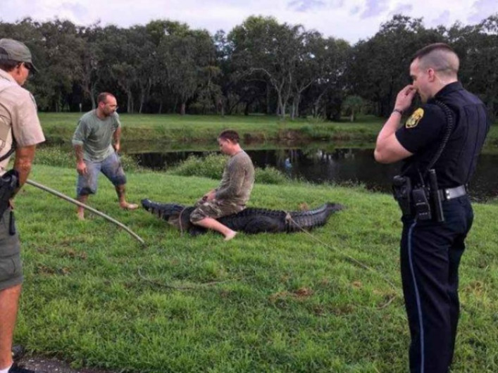 Caimán ataca a hombre el Florida