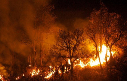 California declara estado emergencia por incendio Holy