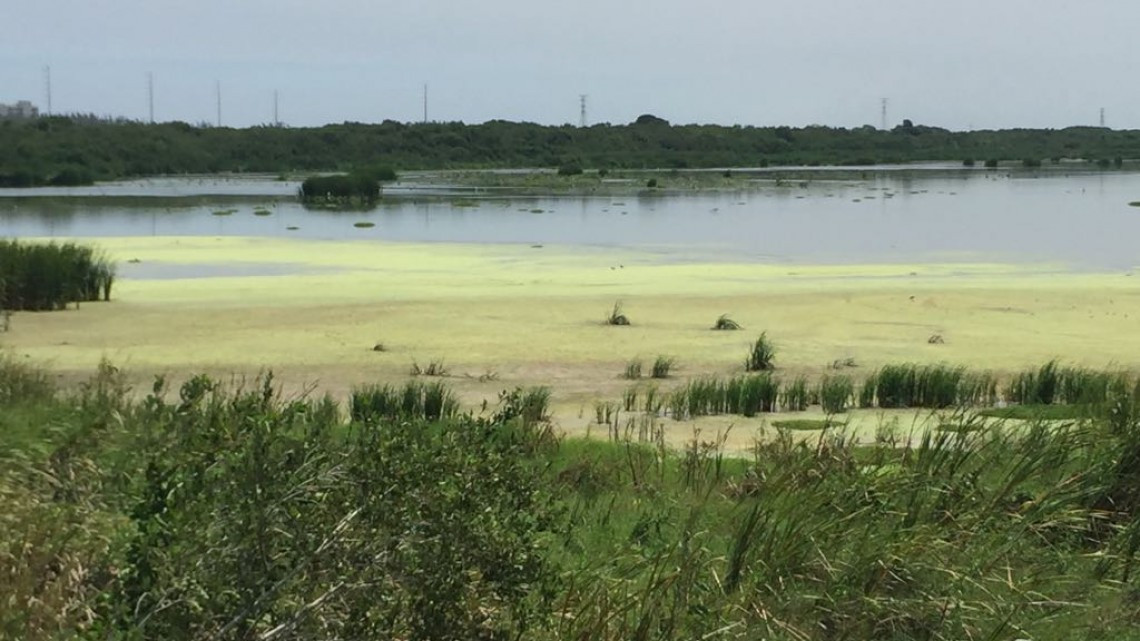 Lagunas comienzan a secarse por falta de lluvias