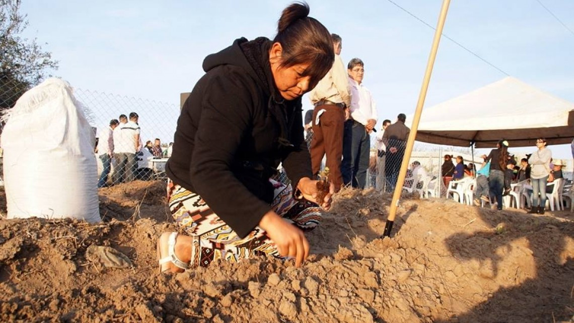 Ponen en marcha el programa de huertos comunitarios