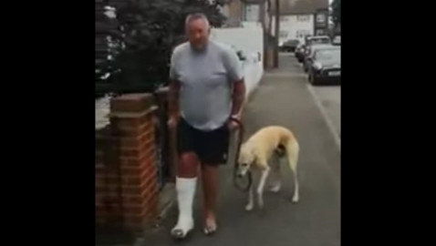 Perrito cojea imitando a su dueño 