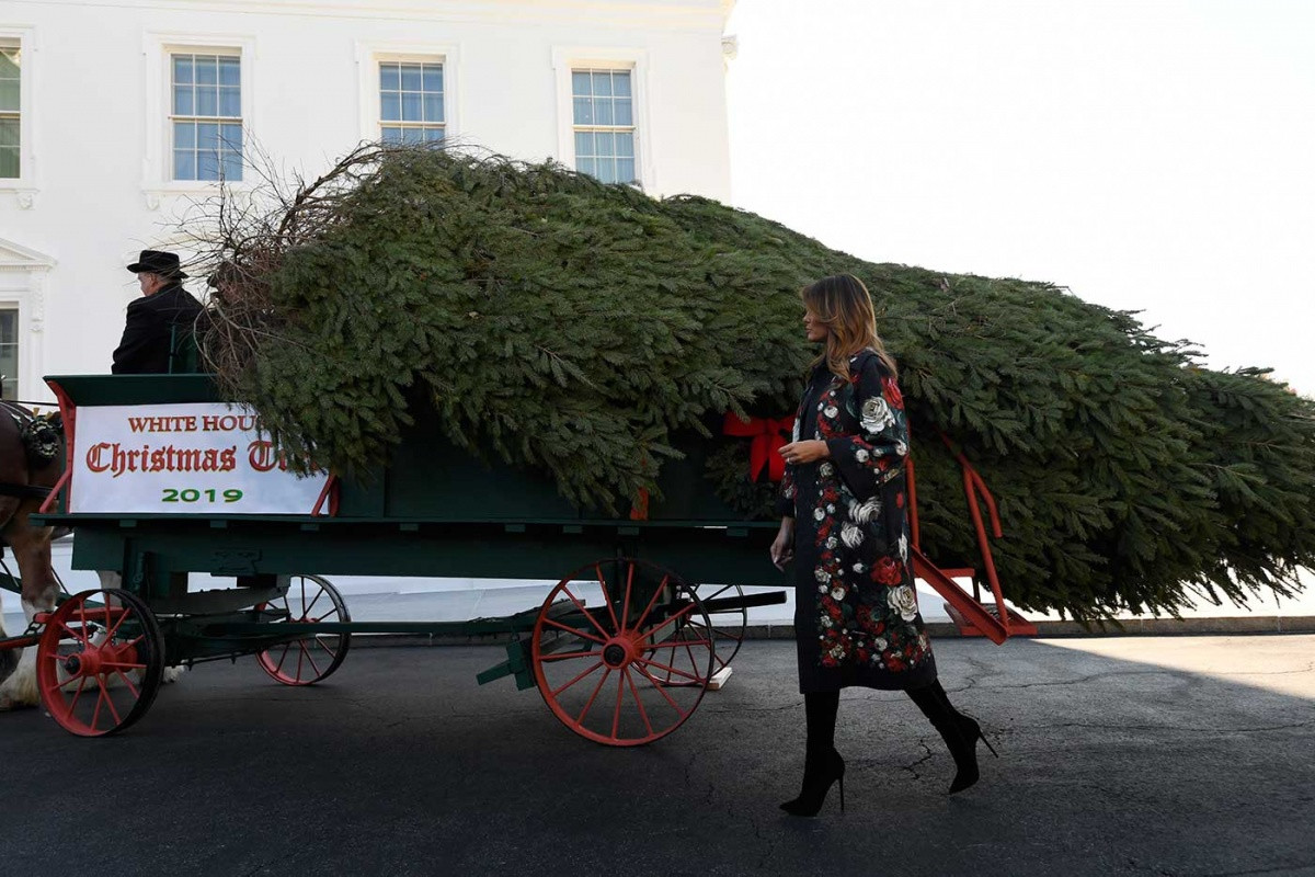 Reciben en la Casa Blanca el tradicional árbol navideño